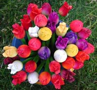 pcf2.jpg (22357 bytes)