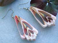 Fashion seashell earring in carved-out tree shape pattern design with fish hook 