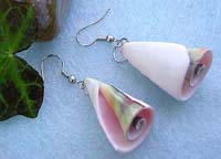 Fashion earring, cylinder shape light pinkish genuine seashell 