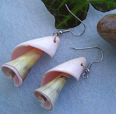 Wholesale seashell jewelry, spiral pattern design fashion seashell earring with fish hook back