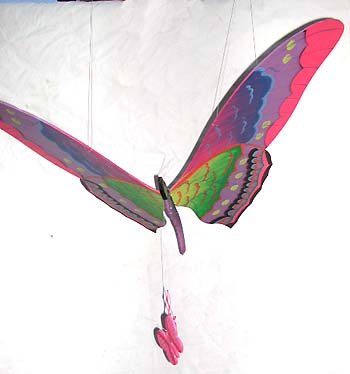 FLYING2.jpg (20960 bytes)