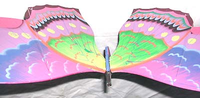 FLYING2TOP.jpg (23376 bytes)