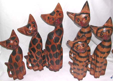 CAT5.jpg (36563 bytes)